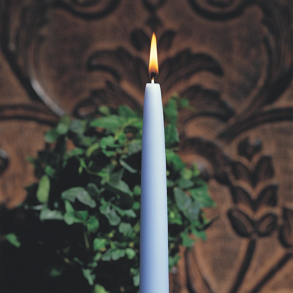 ROOT CAJA C/12 VELAS PLATINUM